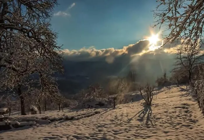 Dvije Lipe
