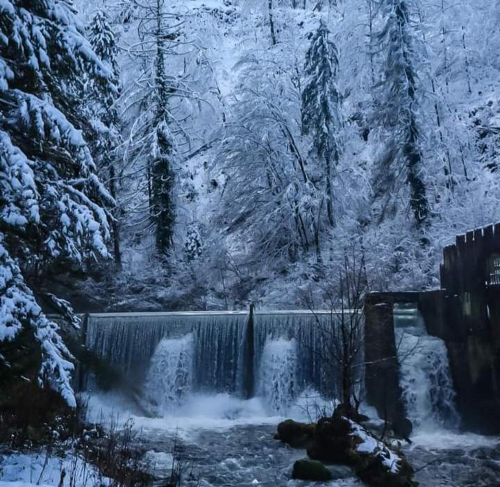 Dvije Lipe Lägenhet
