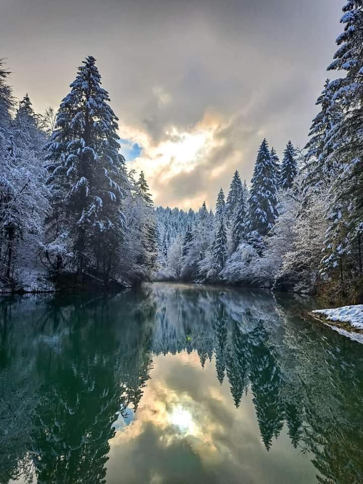 Dvije Lipe *